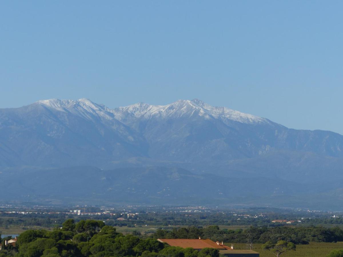 Apartmán Albatros Canet-en-Roussillon Exteriér fotografie